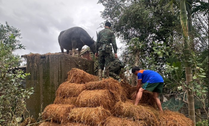Giải cứu “đầu cơ nghiệp” cho nông dân